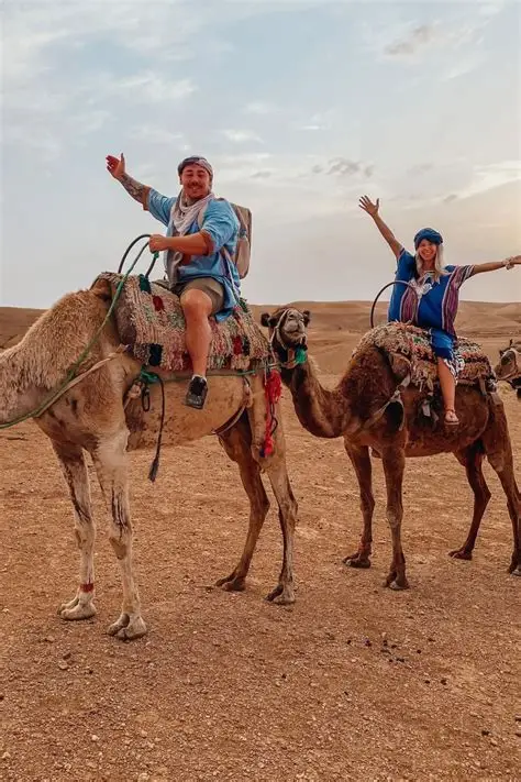 Agafay Camel Rides